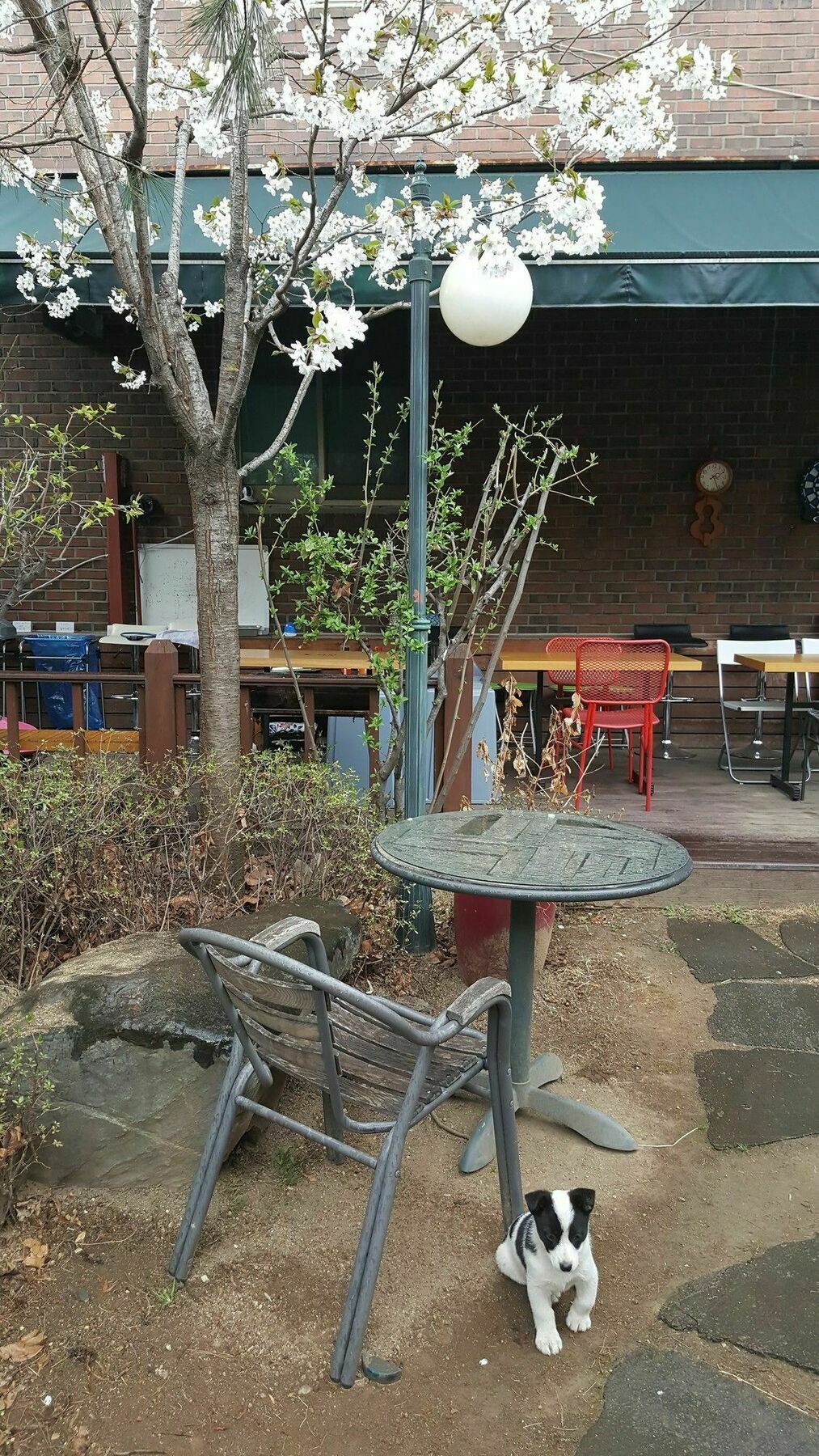 Haha Guesthouse Itaewon سيول المظهر الخارجي الصورة